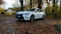 Toyota camry Hybrid Rheinland-Pfalz - Windhagen Vorschau