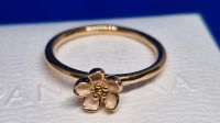 Pandora Ring Kirschblüte 585 Gold Größe 54 Neu Bochum - Bochum-Südwest Vorschau