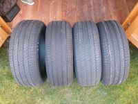 4x Michelin 235/55R19  Sommerreifen  mit MO Freigabe Bayern - Roding Vorschau