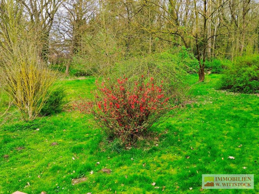 RESERVIERT- Attraktives Bauernhaus in absolut ruhiger Lage mit Blick in die Prignitzer Landschaft in Meyenburg