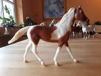 Breyer Pferd Classic ab 5 € Sammlungsauflösung Bayern - Seefeld Vorschau