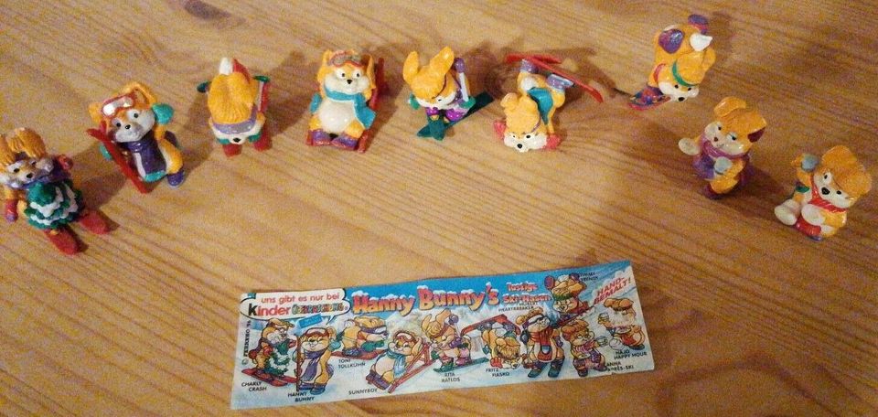 Ü-Ei Figuren - Hanny Bunny's (9 von 10) in Brücken (bei Birkenfeld)