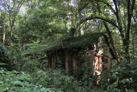 Seltene Waldhütte im Schlaubetal Brandenburg - Neuzelle Vorschau