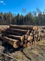 Tannenholz Stammholz Weichholz Baden-Württemberg - Steinhausen an der Rottum Vorschau