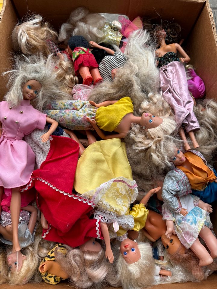 Barbies ganze Kiste voll in Mettenheim