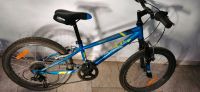 Kinder Jungen Fahrrad Mountainbike 20 Zoll Bayern - Rohr Vorschau