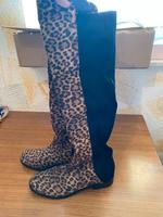 Leoparden Stiefel Thüringen - Geisa Vorschau