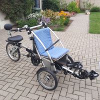 E-Bike / Spezialrad / Therapiebike / Dreirad München - Maxvorstadt Vorschau