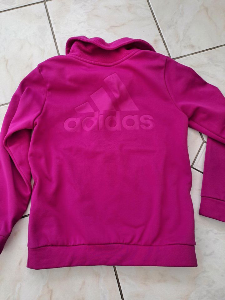 Adidas Fleece-Pullover, pink, Gr. 36 (152) in Ahrensfelde
