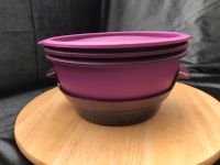 101 Grad Micro Gourmet Microgourmet Tupperware Baden-Württemberg - Frickenhausen Vorschau