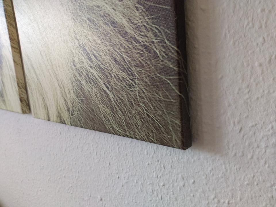 Wandbild Löwe Löwenkopf Leinwand dreiteilig Triptychon in Lilienthal