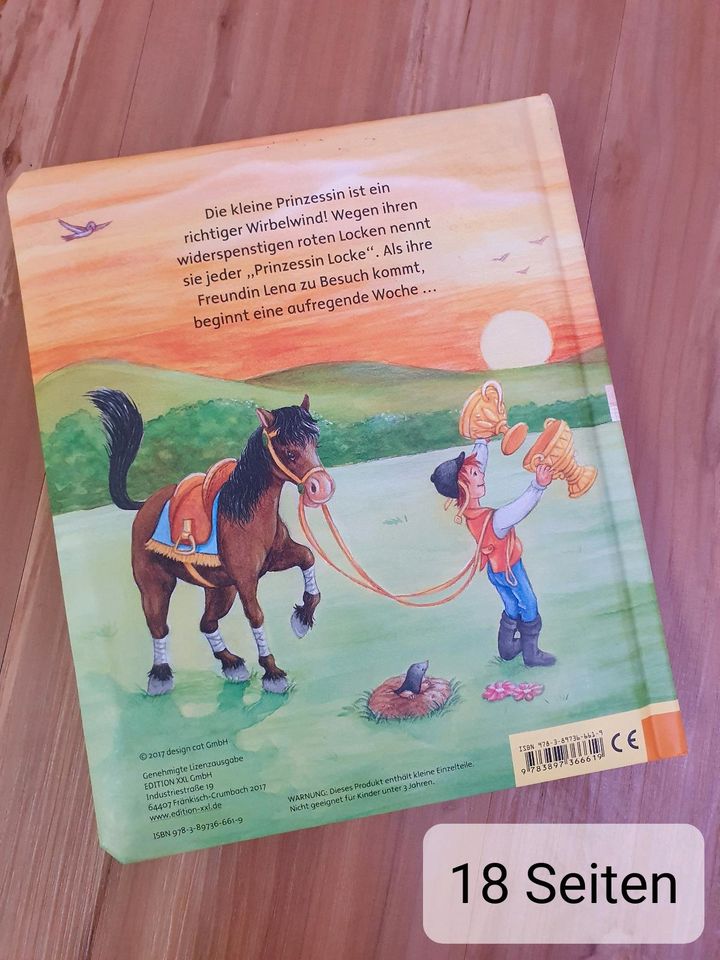 Buch Die kleine Prinzessin Kinderbuch in Heidelberg