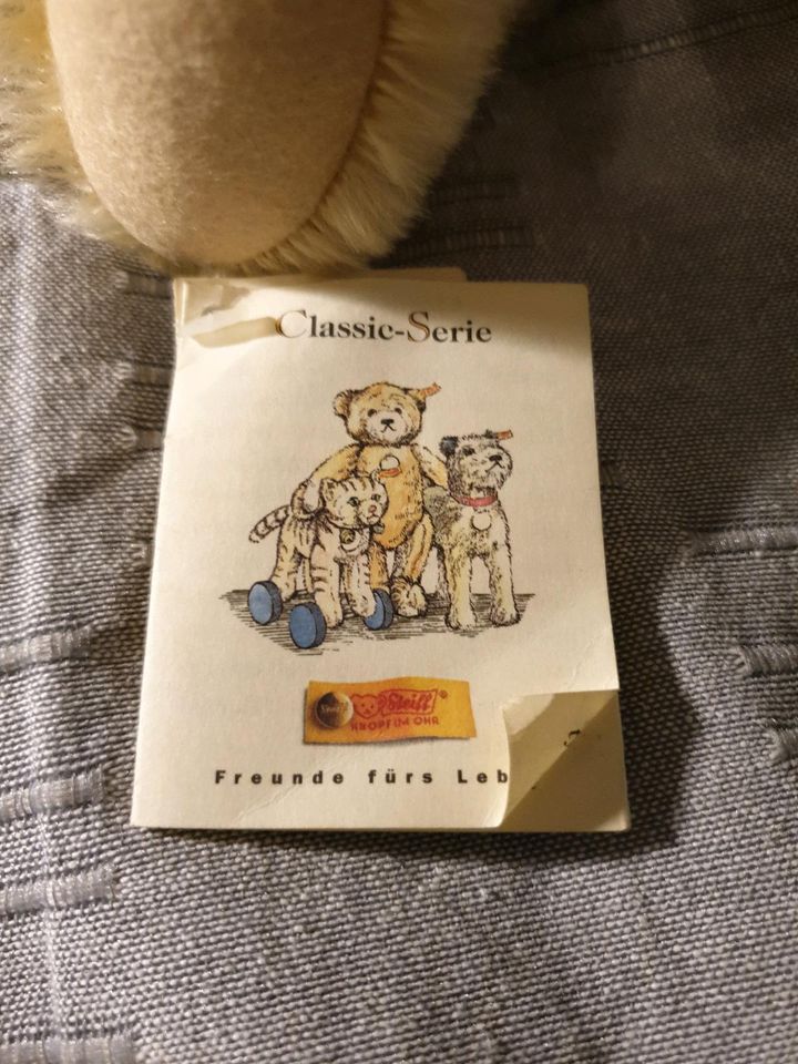 Steiff Teddybär Classic ,- Serie in Saarbrücken