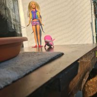 Barbie, Spielpuppe fürs Wasser und fürs "Land" mit Delphin Schleswig-Holstein - Preetz Vorschau