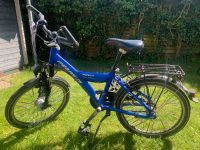 Fahrrad Pegasus Avanti 20 Zoll Kreis Pinneberg - Lutzhorn Vorschau