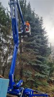 Baumfällung Fällung Gartenpflege Windbruch Rheinland-Pfalz - Haßloch Vorschau