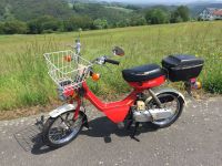 Suzuki Mokick Oldtimer Moped Mofa Wohnmobil ähl. Honda Dax Monkey Rheinland-Pfalz - Asbach Vorschau