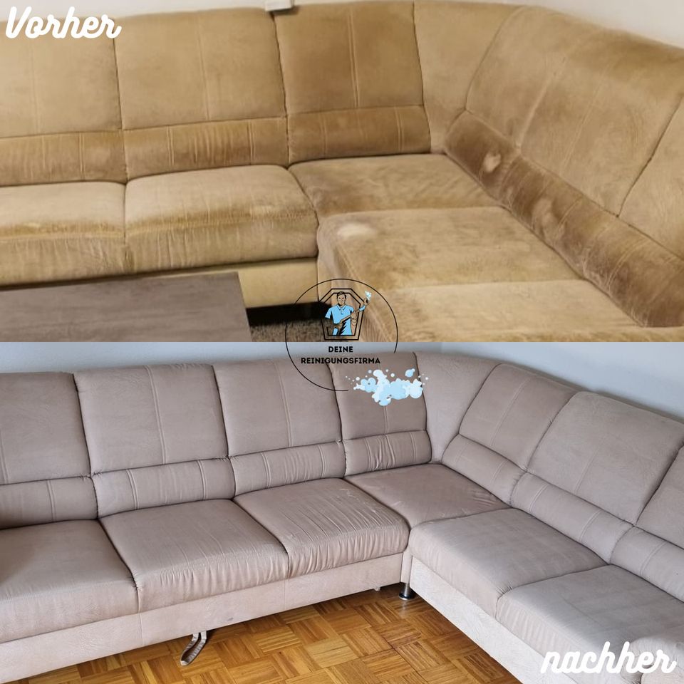 Polsterreinigung / Couch Sessel Sofa Stuhl Professionell Schnel in Berlin