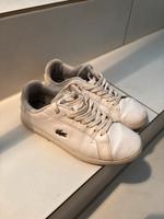 Schuhe gr 37 lacoste weiß Nordrhein-Westfalen - Neuss Vorschau