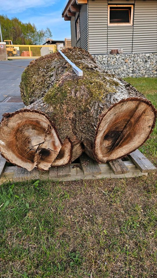 Walnuss-Stamm Holz Walnussbaum in Neureichenau