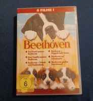 Beethoven Filme 1-6 (Komplett) DVD's Duisburg - Meiderich/Beeck Vorschau