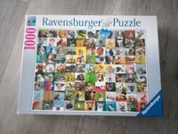 Ravensburger Puzzle, 1000 Teile Schleswig-Holstein - Harrislee Vorschau