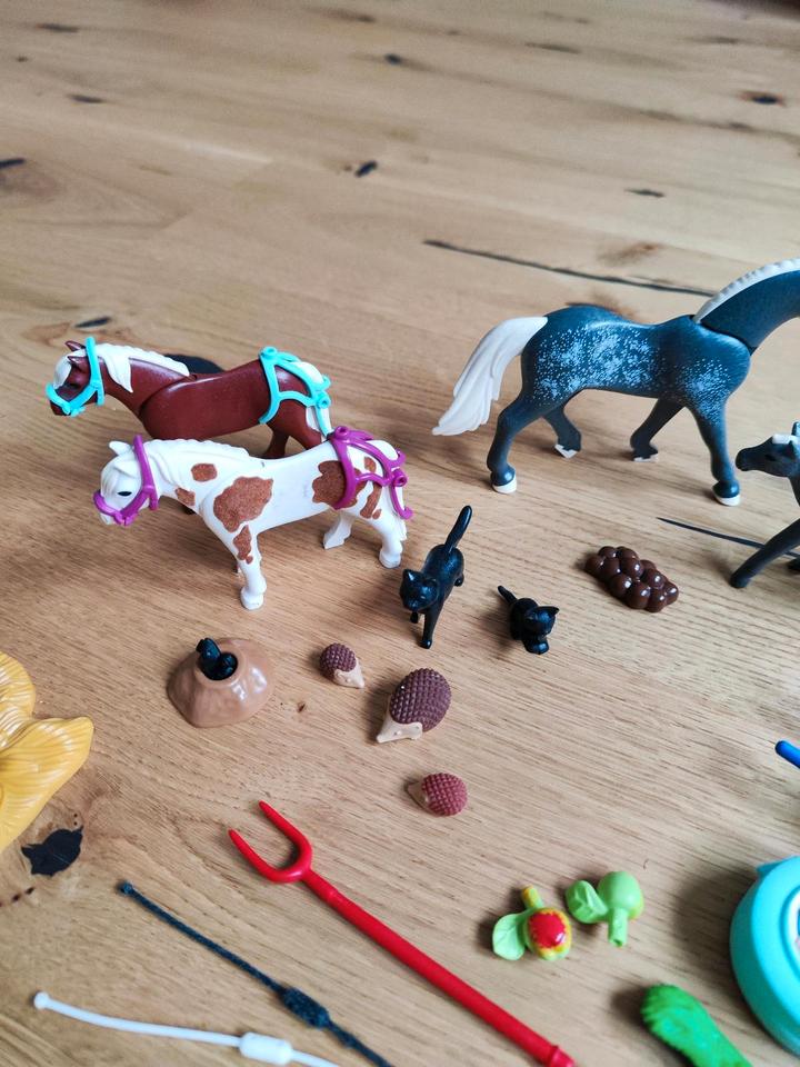 Playmobil Country Adventskalender Pferde Igel Pony in Eching (Kr Freising)