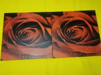 Zwei Leinwandbilder "Rote Rose mit Wassertropfen" 60x60 cm Stuttgart - Stammheim Vorschau