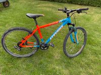 Stevens  Mountainbike Kreis Ostholstein - Zarpen Vorschau