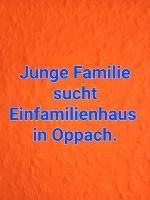 Suchen Einfamilienhaus in Oppach in ruhiger Lage Sachsen - Cunewalde Vorschau