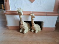 2 Giraffen von Gilde Hessen - Künzell Vorschau