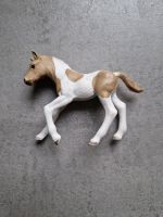 Schleich Pferde Fohlen Paint Horse Schleswig-Holstein - Lägerdorf Vorschau