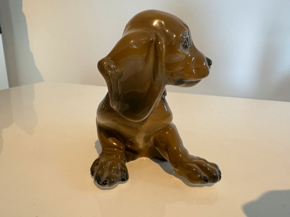 Rosenthal Classic Rose Porzellan Figur Dackel Hund Welpe in Taunusstein