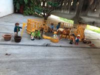 Playmobil „Auf der Weide“ Bayern - Dietramszell Vorschau