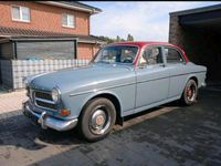 Volvo Amazon Niedersachsen - Lengerich Vorschau