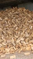 Angebot des Monats Trockenes Brennholz Kaminholz Ofenholz Niedersachsen - Aurich Vorschau