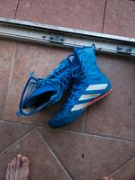 Boxer Schuhe 42,5 Niedersachsen - Schiffdorf Vorschau