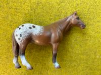 Schleich Appaloosa Pferd Hamburg - Bergedorf Vorschau