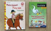 1. KLASSE- PONY JOJO- GESPENST IM KLASSENZIMMER-ALLERERSTES LESEN Dresden - Blasewitz Vorschau