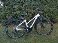 Ebike PEGASUS Premio Evo 10 Lite 625Wh !!! Nur 188 Km !!! Rheinland-Pfalz - Frei-Laubersheim Vorschau