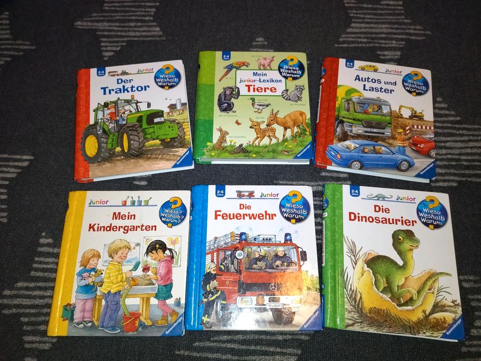 Kinderbücher Wieso Weshalb Warum Sachen suchen in Hagen am Teutoburger Wald