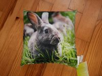 NEU Ostern Zier-Kissen 20x20 cm Hase Kaninchen Puppen-Kissen Saarland - Großrosseln Vorschau