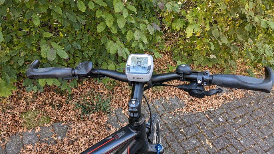 Stevens E-Bike Lavena Bosch Active Line 400wh Rahmen 55cm 21,5" in Neunkirchen-Seelscheid