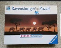 Puzzle Ravensburger 1000 Teile Panorama Elefanten in der Savanne Baden-Württemberg - Freudenberg Vorschau