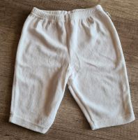 Babyhose Nickistoff Gr. 52 Rheinland-Pfalz - Piesport Vorschau