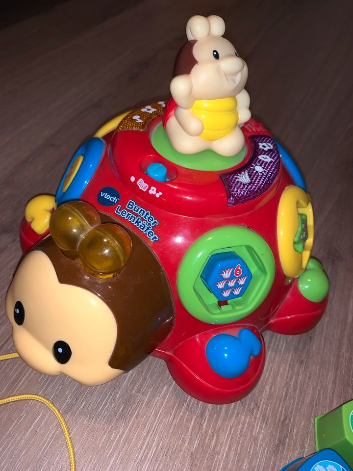 Vtech Bunter Lernkäfer Lernspielzeug Babyspielzeug zum Nachziehen in Ratzeburg