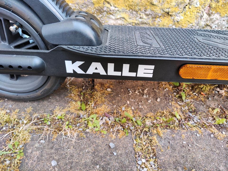 Verkaufe ein Scooter Trittbrett Kalle in Neuendorf a. Main