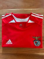 Benfica Lissabon Trikot Adidas rot L Nürnberg (Mittelfr) - Mitte Vorschau