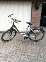 E Bike Damen Fahrrad Schleswig-Holstein - Lentföhrden Vorschau