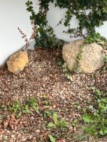 Steine Findlinge ca. 20 Stück zur Abholung Nordrhein-Westfalen - Erftstadt Vorschau